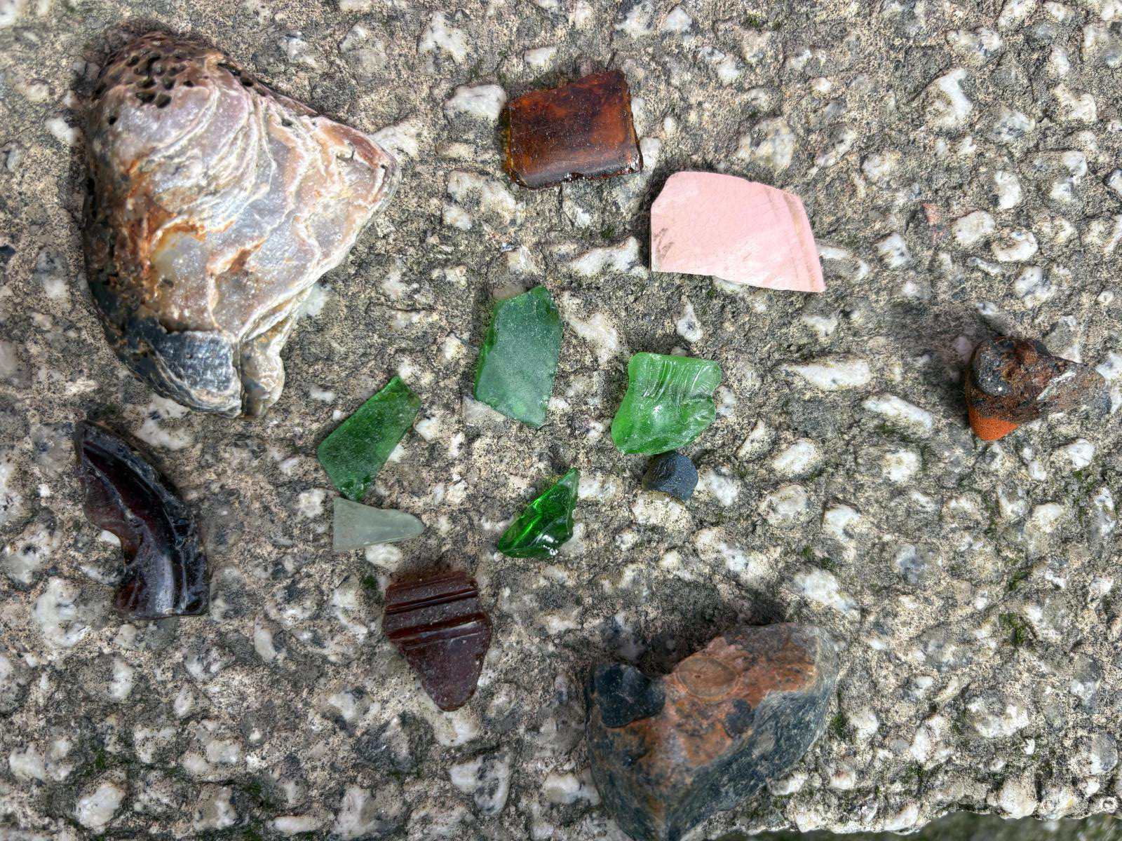 Pieces of glass and shell on the pavement