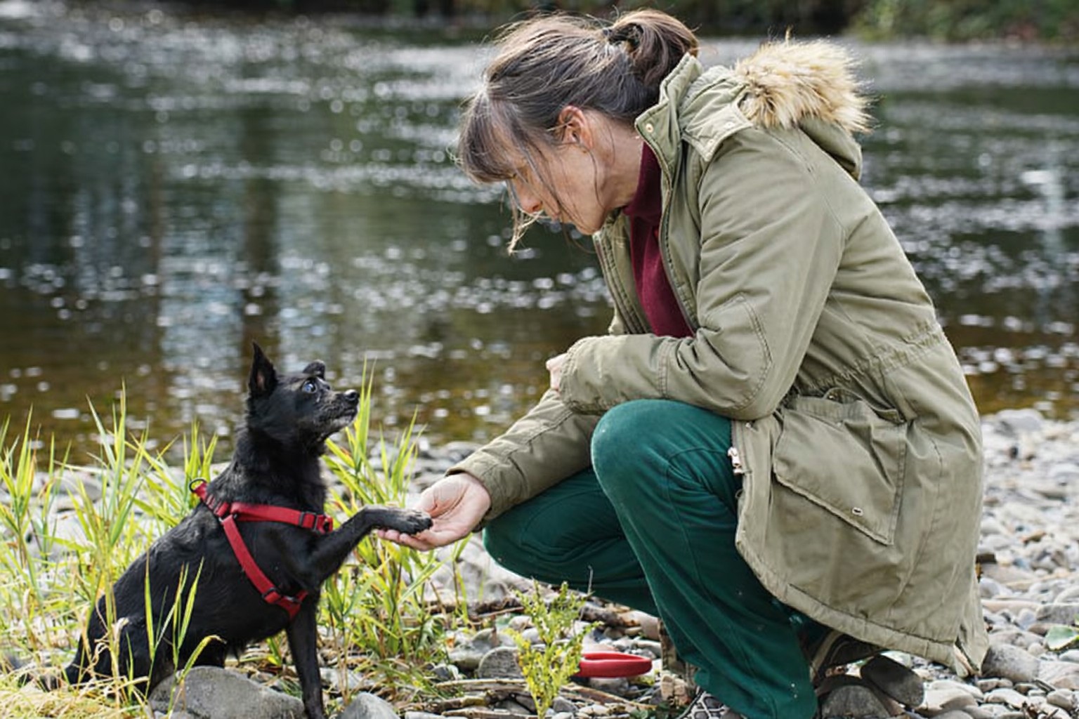 The author with her dog